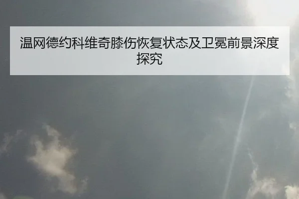 温网德约科维奇膝伤恢复状态及卫冕前景深度探究