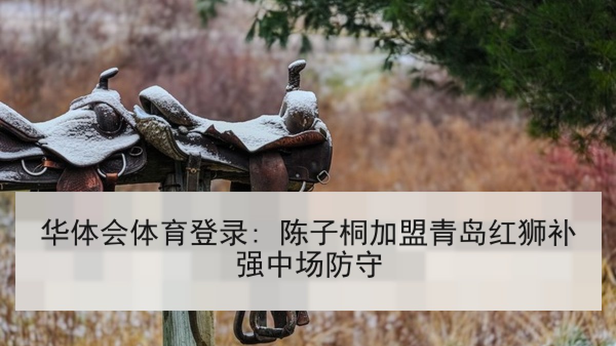 华体会体育登录: 陈子桐加盟青岛红狮补强中场防守