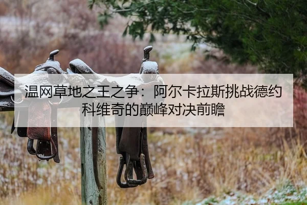 wen-wang-cao-di-zhi-wang-zhi-zheng-a-er-ka-la-si-tiao-zhan-de-yue-ke-wei-qi-de-dian-feng-dui-jue-qian-zhan-2-366.jpg