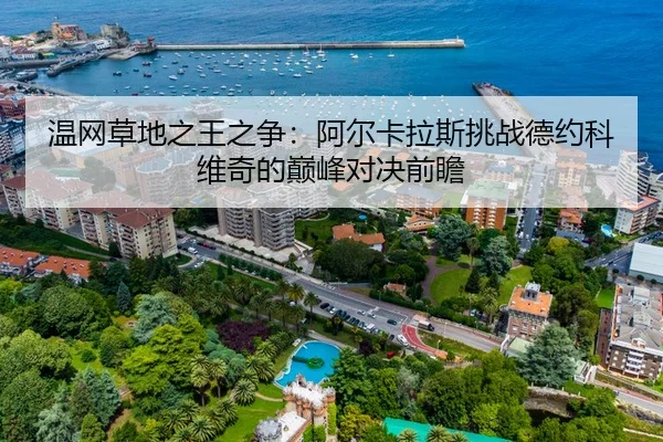 温网草地之王之争：阿尔卡拉斯挑战德约科维奇的巅峰对决前瞻