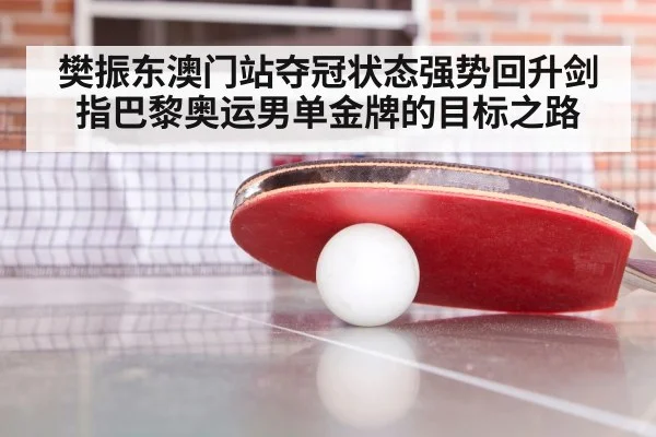 Olympic table tennis