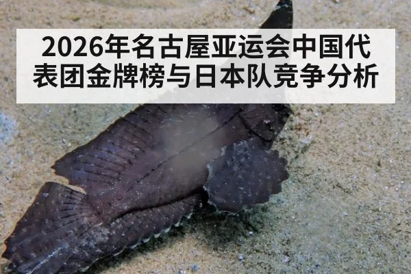 2026年名古屋亚运会中国代表团金牌榜与日本队竞争分析